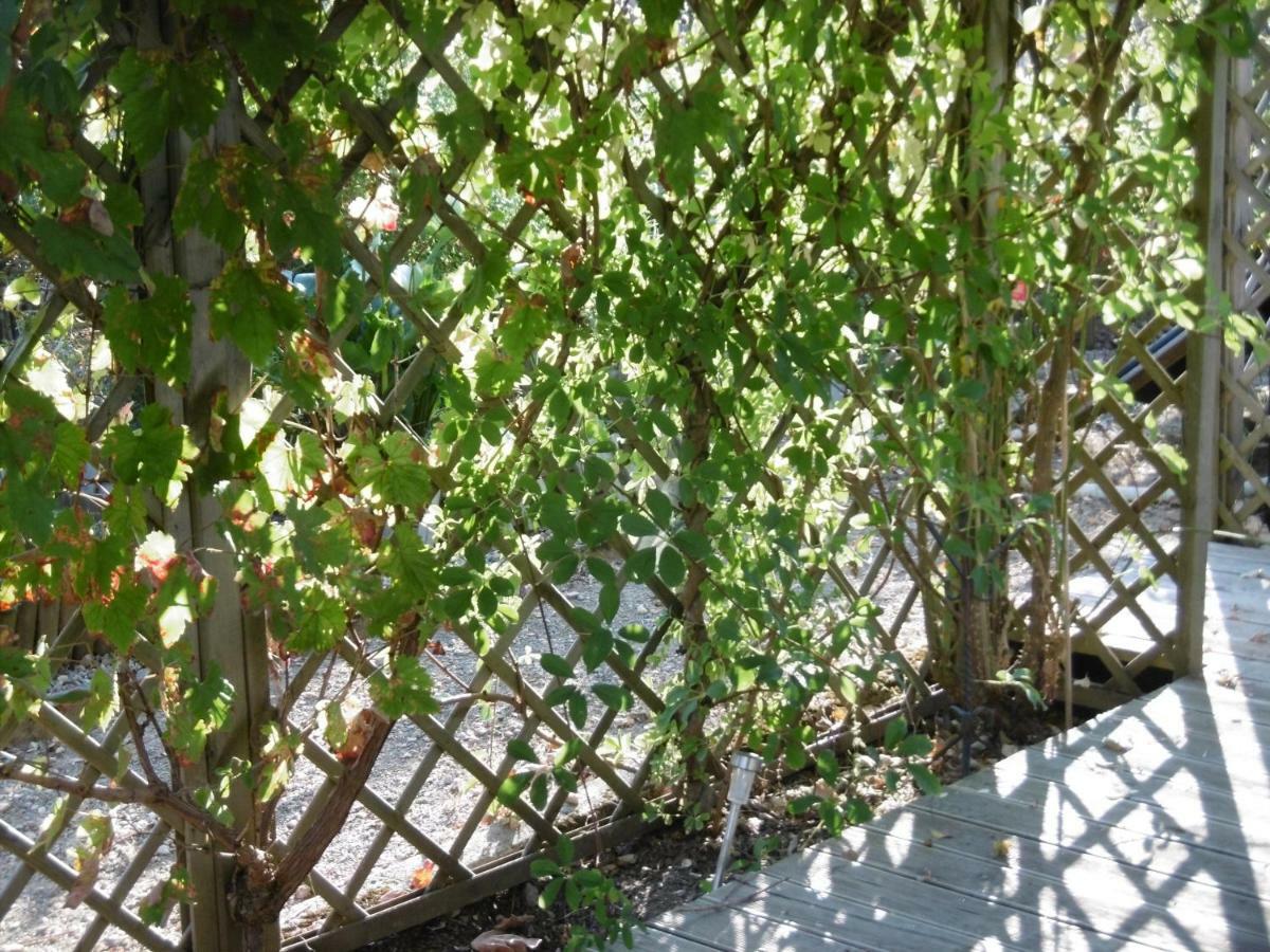 Châteauneuf-la-Forêt Le Chat Qui Peche B&B מראה חיצוני תמונה